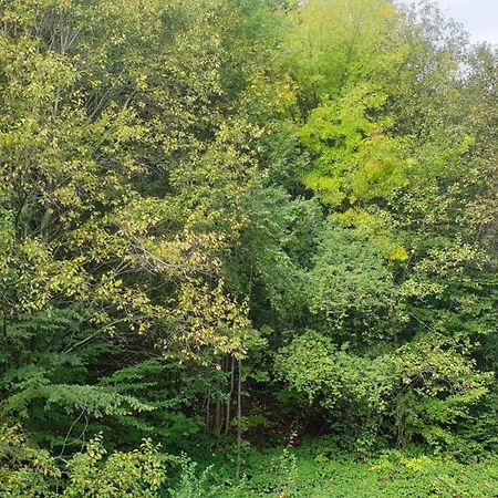 锡纳亚Garsoniera Ioana公寓 外观 照片
