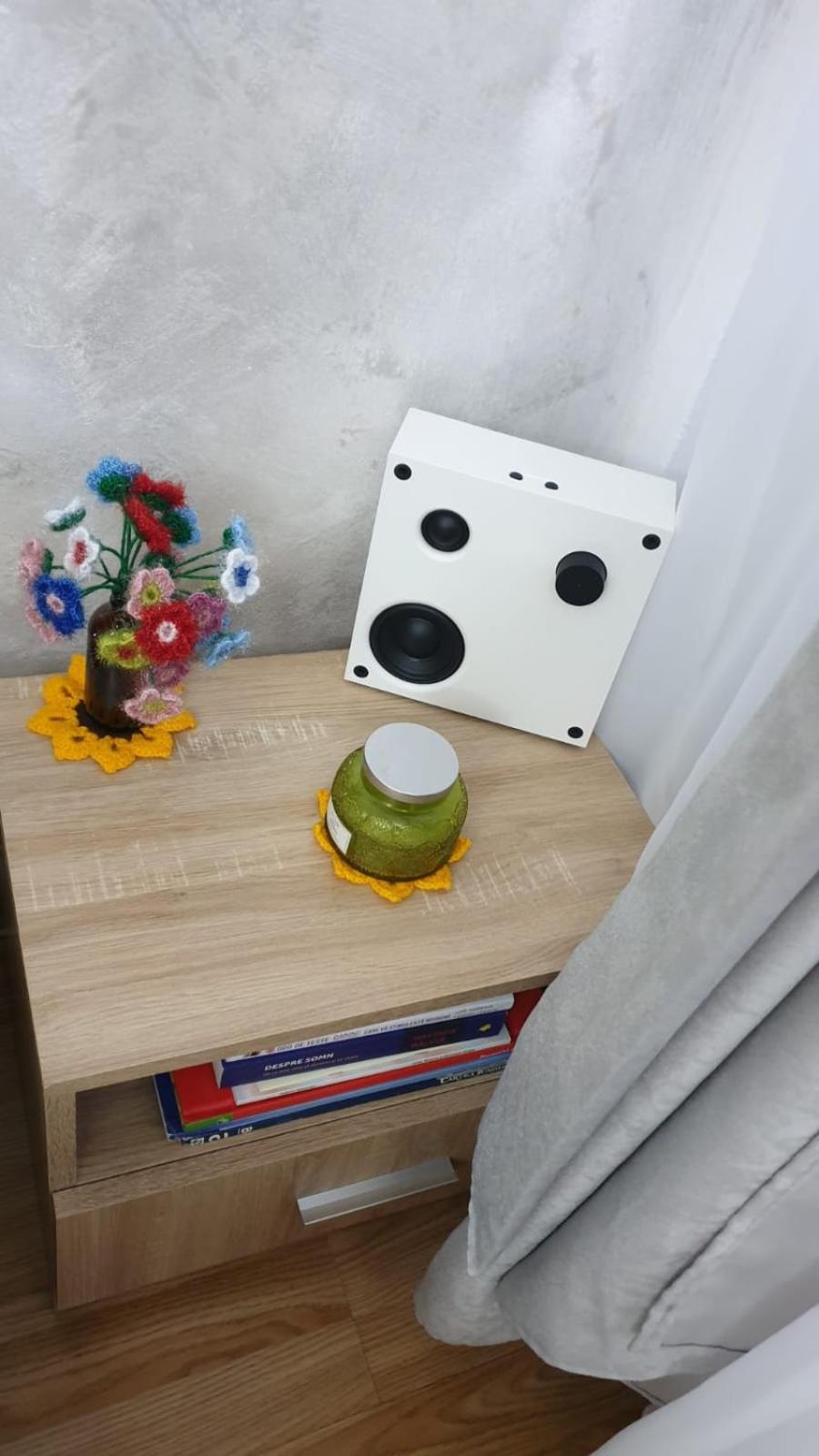 锡纳亚Garsoniera Ioana公寓 外观 照片